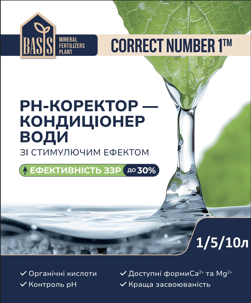 Basis_Correct1